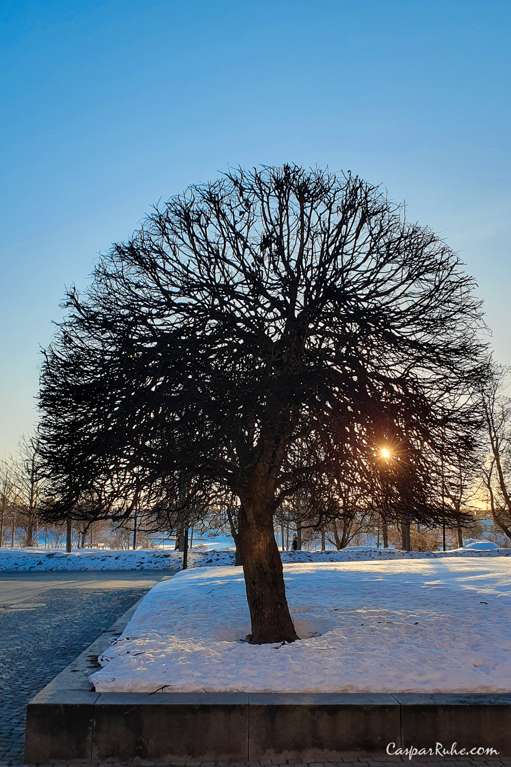 Rådhusparken